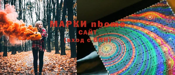 соль ск Бородино