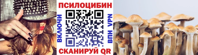 где можно купить   Ачхой-Мартан  Псилоцибиновые грибы MAGIC MUSHROOMS 